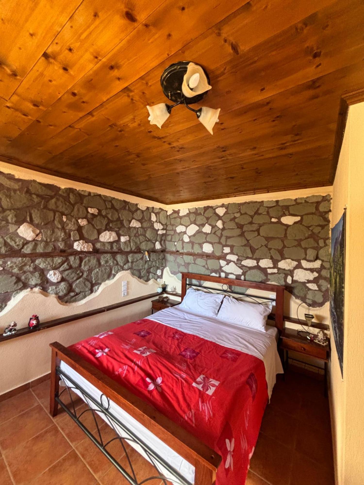 Πέτρινο Όραμα Hotel Kotronion  Ngoại thất bức ảnh